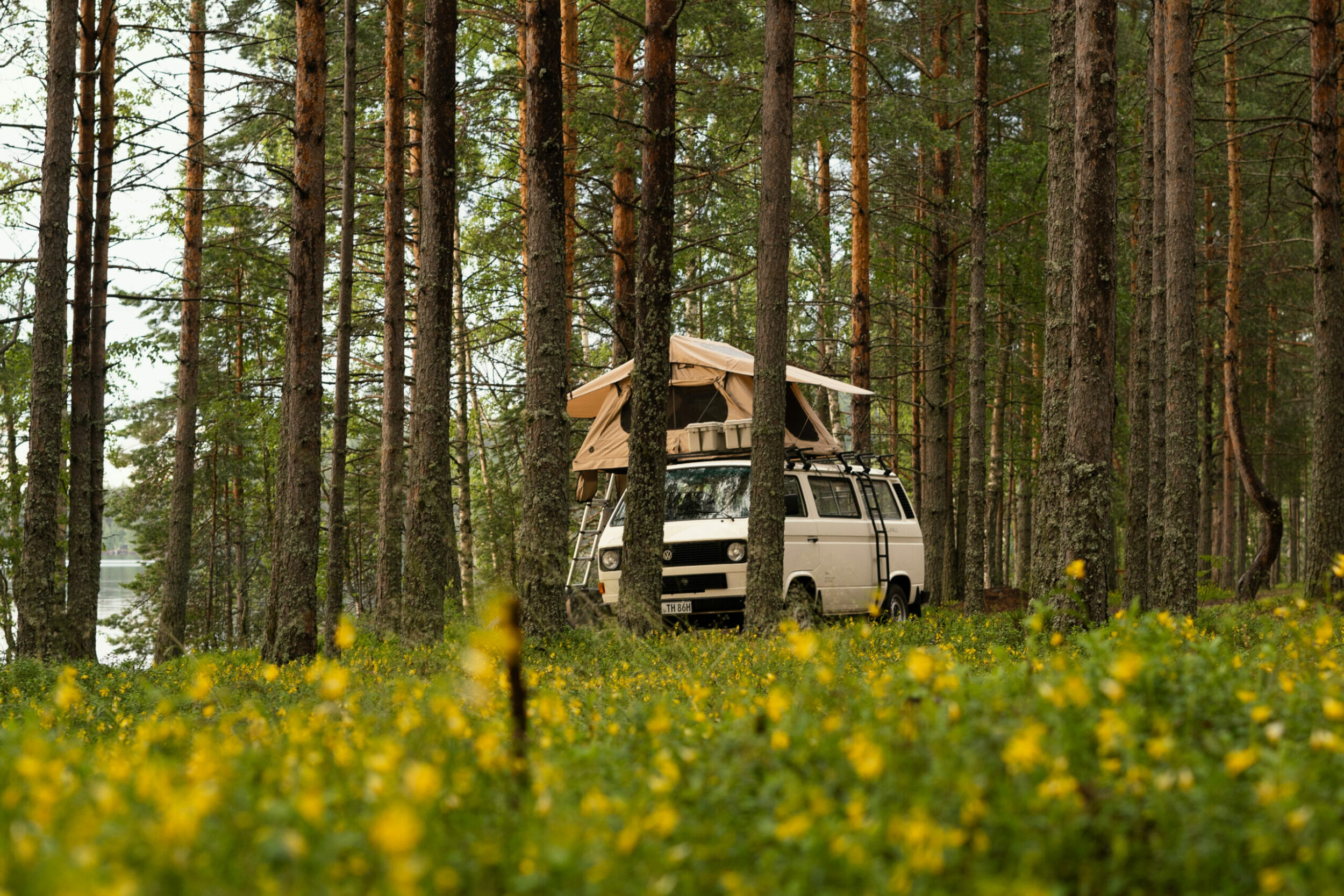 Dachzelt Finnland Wald Wiese Blumen